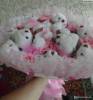 Фото 4 - New! Plush toys (PP cotton filling ) Cartoon 11 Teddy Bear Doll Bouquet Birthday Gift Big Order Big Discount G86 Фото 4