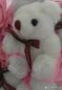 Фото 2 - New! Plush toys (PP cotton filling ) Cartoon 11 Teddy Bear Doll Bouquet Birthday Gift Big Order Big Discount G86 Фото 2