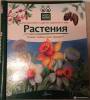 Фото 1 - Растения. Какие тайны они хранят? Путешествие в царство деревьев и трав. Книга с окошками. Живая природа России для малышей. Елумеева Т. Фото 1