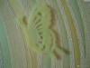 Фото 8 - Наклейки на стену Aliexpress Butterflies Glow in the Dark Fluorescent Plastic Home Decorate Wall Sticker hv3n Фото 8