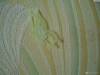 Фото 6 - Наклейки на стену Aliexpress Butterflies Glow in the Dark Fluorescent Plastic Home Decorate Wall Sticker hv3n Фото 6
