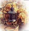 Фото 3 - Подсвечники Aliexpress Romantic Love Candlestick Candle Holder Lantern Light for Wedding Room Decor Фото 3