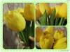 Фото 5