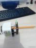 Фото 7 - Точилка механическая для карандашей Aliexpress Rh walnut hand pencil sharpener Stationery Pencil sharpener for office & school supplies accessories Фото 7