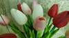 Фото 2 - Тюльпаны Aliexpress Free shipping 31PCS/LOT pu mini tulip flower real touch wedding artificial silk home decoration Фото 2