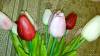 Фото 1 - Тюльпаны Aliexpress Free shipping 31PCS/LOT pu mini tulip flower real touch wedding artificial silk home decoration Фото 1