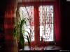 Фото 1 - Штора AliExpress 2013 free shipping beauty romantic heart curtain compartmentation Sparse decoration curtain Фото 1