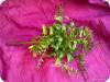 Фото 2 - Искусственное растение - Aliexpress - Fresh Green Melon Seeds Fern Fake Plant Artificial FLoral Leaves Foliage Vine Фото 2